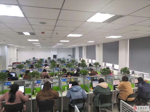 移动客服岗位 郑州声谷科技诚聘信息技术咨询人才